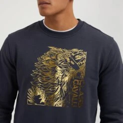 Cavalli Class Grey Chest Logo Cotton Sweatshirt -Schmuddelwedda 18106247 4